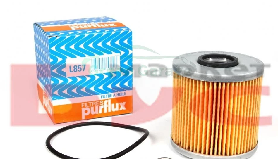 Фільтр мастильний PURFLUX L857 (фото 1)