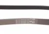 Поликлиновой ремень (Пр-во Contitech) CONTITECH 4PK830ELAST (фото 2)