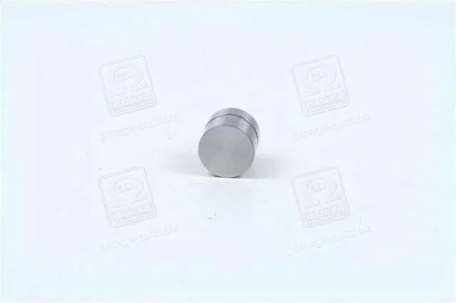 Гідрокомпенсатор Hyundai/Kia/Mobis 2223137100 (фото 1)