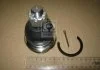 Опора шаровая TOYOTA LAND Cruiser UZJ200 07-, Sequoia UCK60 08- LOW R/L (пр-во Япония) 555 SBT502 (фото 2)