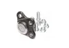 Опора кул нижня Peugeot 207 07- 1007 05-10 Citroen C3 02- C2 03- OE 364062 NEW CB0503 (вир-во) CTR CBPU7 (фото 2)