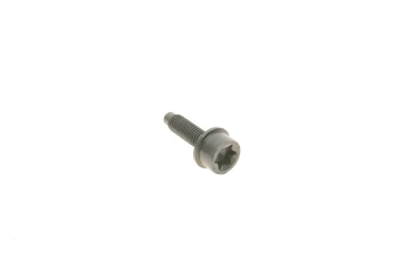 Болт зірочки маслонасосу M10x30 N20 BMW 11277619309