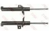 Амортизатор (повний комплект) Лів/Прав SKODA SUPERB II VW CC B7, PASSAT B6, PASSAT B7, PASSAT B7/KOMBI 1.4-3.6 03.05-12.16 TRW JGM1036T (фото 1)