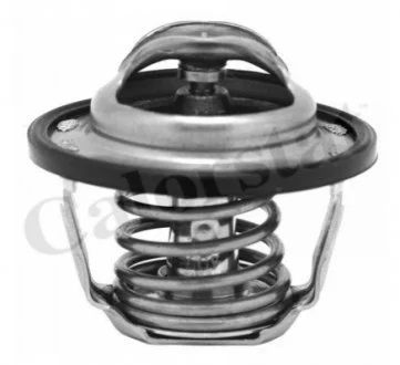 Термостат CHEVROLET/OPEL (вир-во Vernet) VERNET TH6883.82J