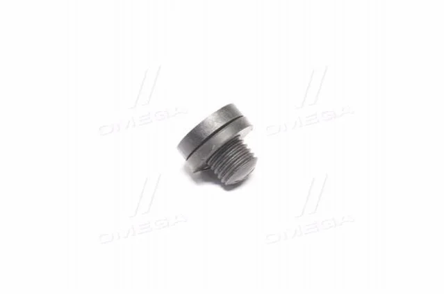 Пробка зливна радіатора охолодження (вир-во Mobis) Hyundai/Kia/Mobis 253182f000 (фото 1)