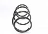Передня пружина підвіски LESJOFORS 4008438 (фото 5)