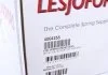 Передня пружина підвіски LESJOFORS 4004255 (фото 6)