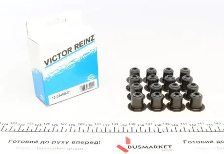 Комплект сальників клапанів VICTOR REINZ 125349901