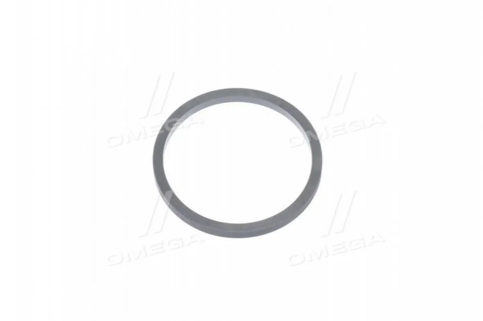 Ущільнююче кільце поршня суппорта Hyundai/Kia/Mobis 581133b900 (фото 1)