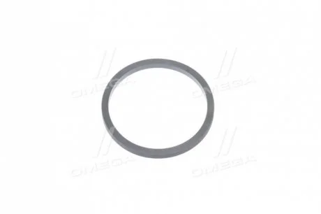 Ущільнююче кільце поршня суппорта Hyundai/Kia/Mobis 581133b900