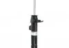 Амортизатор BILSTEIN 22220080 (фото 1)