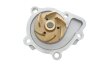 Водяний насос SKF VKPC 95891 (фото 4)
