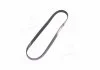 Поликлиновые ремни Micro-V StretchFit (Пр-во Gates) GATES 6PK1029SF (фото 2)