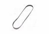Поликлиновые ремни Micro-V StretchFit (Пр-во Gates) GATES 6PK1029SF (фото 4)
