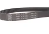 Комплект доріжкового ремня SKF VKMA 31276 (фото 7)