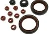 KOMPLET USZCZ GLOWICY VW GOLF III/IV 1,9TDI/ PASSAT 1,9TDI 93-2000/ VENTO 1,9TDI 93-09/98 SZT STARLINE GA7107 (фото 3)