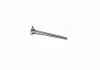 Клапан выпускной EX VAG BCA/BLP/ARC/BLF/BKG/BBY/AJV/BLG/ATN/CAVA/CAXA/CAXC 26X6X100.6 (пр-во KS) KOLBENSCHMIDT 39523 (фото 1)
