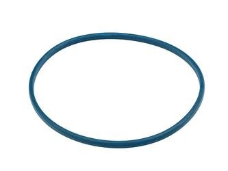 Прокладка паливного насоса Fiat Ducato 06 бак паливний ущільнююче кільце FAST FT48504