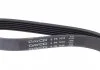 Ремень поликлиновой (Пр-во Dayco) DAYCO 6PK1018 (фото 3)