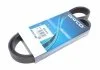 Ремень поликлиновой (Пр-во Dayco) DAYCO 6PK1018 (фото 2)