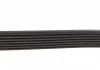 Ремінь поліклиновий TOYOTA LAND CRUISER/4 RUNNER 4,0 03- DAYCO 7PK2120 (фото 3)