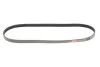 PASEK WIELOROWKOWY 4PK914 FORD MONDEO V 2,0ECOBOOST (KLIMATYZACJI) GATES 4PK914SF (фото 1)