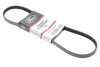 PASEK WIELOROWKOWY 4PK914 FORD MONDEO V 2,0ECOBOOST (KLIMATYZACJI) GATES 4PK914SF (фото 2)