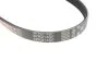 PASEK WIELOROWKOWY 4PK914 FORD MONDEO V 2,0ECOBOOST (KLIMATYZACJI) GATES 4PK914SF (фото 4)
