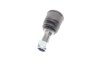 Sworzeс wah. MERCEDES E-CLASS (W211) / E-CLASS T-Model (S211)/SL SKF VKDS318003 (фото 2)