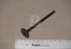 Клапан-INTAKE*8P/1.3-1.5SOHC Accent(LC) 99-06 (вир-во PMC-ESSENCE) PARTS-MALL HCZA002 (фото 2)