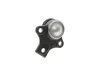 Sworzeс wah. VAG CORDOBA I (6K2/C2)/CORDOBA I (6K5) Vario/IBIZA SKF VKDS311000 (фото 3)
