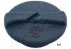 VW Пробка расширительного бачка Caddy 1,9D -04. JAPANPARTS KH040 (фото 1)