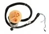 POMPA PAL FG2025-12B1 VOLVO S60, S80, V70 01-02 DELPHI FG202512B1 (фото 2)