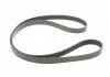 ZESTAW PASKA WIELOROWK. JEEP 2.0CRD MITSUBISHI 2.0DI-D INA 529051510 (фото 2)
