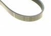 ZESTAW PASKA WIELOROWK. CITROEN 1.6THP DS/BMW/PEUGEOT INA 529050310 (фото 12)