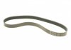 ZESTAW PASKA WIELOROWK. CITROEN 1.6THP DS/BMW/PEUGEOT INA 529050310 (фото 2)