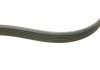 ZESTAW PASKA WIELOROWK. CITROEN 1.6THP DS/BMW/PEUGEOT INA 529050310 (фото 10)