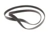 ZESTAW PASKA KLINOWEGO WIELOROWKOWEGO BMW CITROEN INA 529036210 (фото 12)