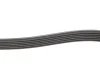 PASEK WIELOKLINOWY AUDI A4,A5,Q5, VW TOUAREG 16- GATES 6PK1178 (фото 3)