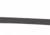 ZESTAW PASKA WIELOROWK. RENAULT 1.5DCI (+ OAP) INA 529000920 (фото 9)