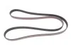 PASEK WIELOROWKOWY ALFA STELVIO/GIULIA GATES 6PK1855 (фото 1)