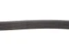 PASEK WIELOROWKOWY ALFA STELVIO/GIULIA GATES 6PK1855 (фото 3)