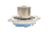 Комплект ГРМ (ремінь + ролик + водяний насос) SKF VKMC02192 (фото 5)