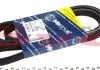 Ремінь поліклиновий, Fiat Bravo 1.2 16V 98-01 MEYLE 0500051588 (фото 1)