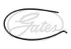 Шланг гумовий системи охолодження (7мм/7мм) CITROEN JUMPER III 2.2D/3.0D 04.06- GATES 022656 (фото 1)