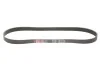 PASEK WIELOKLINOWY RENAULT GRAND SCENIC 16- GATES 7PK1203EST (фото 1)