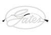PRZEWрD PALIWOWY RENAULT CLIO GRANDTOUR 1,5 GATES MFL1048 (фото 1)