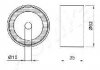Ролик модуля натягувача ременя ASHIKA 4500008 (фото 2)