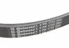 Комплект (ремінь+ролики) CONTITECH 6PK1733K3 (фото 7)