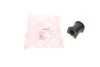 GUMA STAB. FORD T. MONDEO 14- LE/PR 22MM FEBI BILSTEIN 175039 (фото 1)